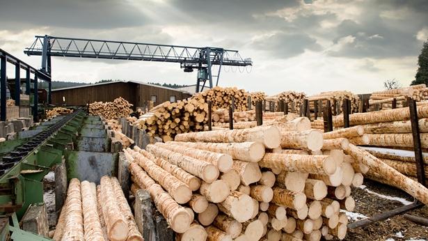 Canadian Softwood Lumber